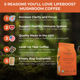 Lifeboost Cognition Decaf Focus Coffee for Calm Energy - Lion’s Mane Mushroom Coffee with Chaga - Organic Medium Roast Decaf Nootropic Coffee - Low