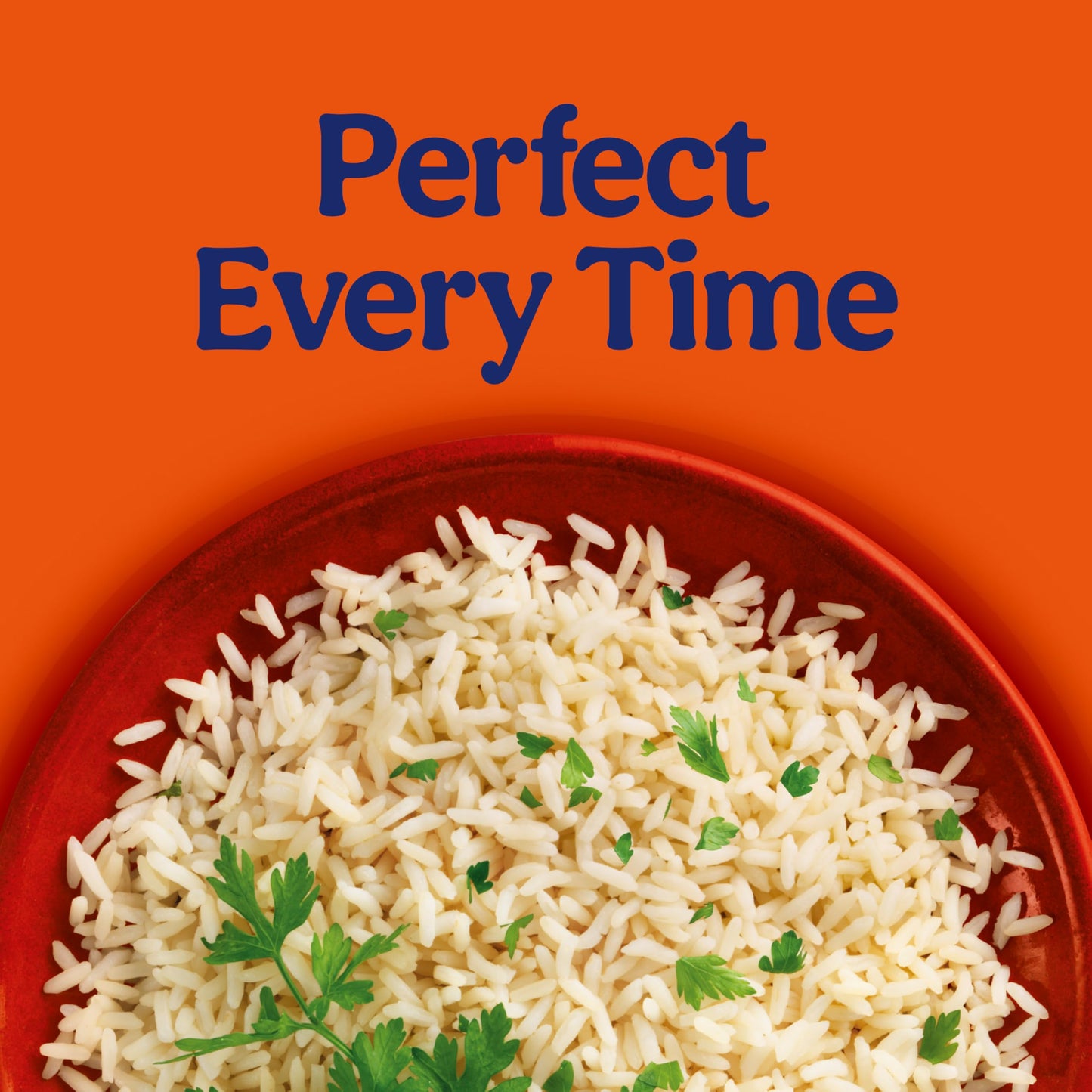 BEN'S ORIGINAL Ready Rice Original Long Grain White Rice, Easy Dinner Side, 8.8 oz Pouch (Pack of 12)