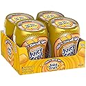 JUICY FRUIT Gum - Original Bubble Gum Bulk Pack, 40-Piece Bottle (4 Pack)