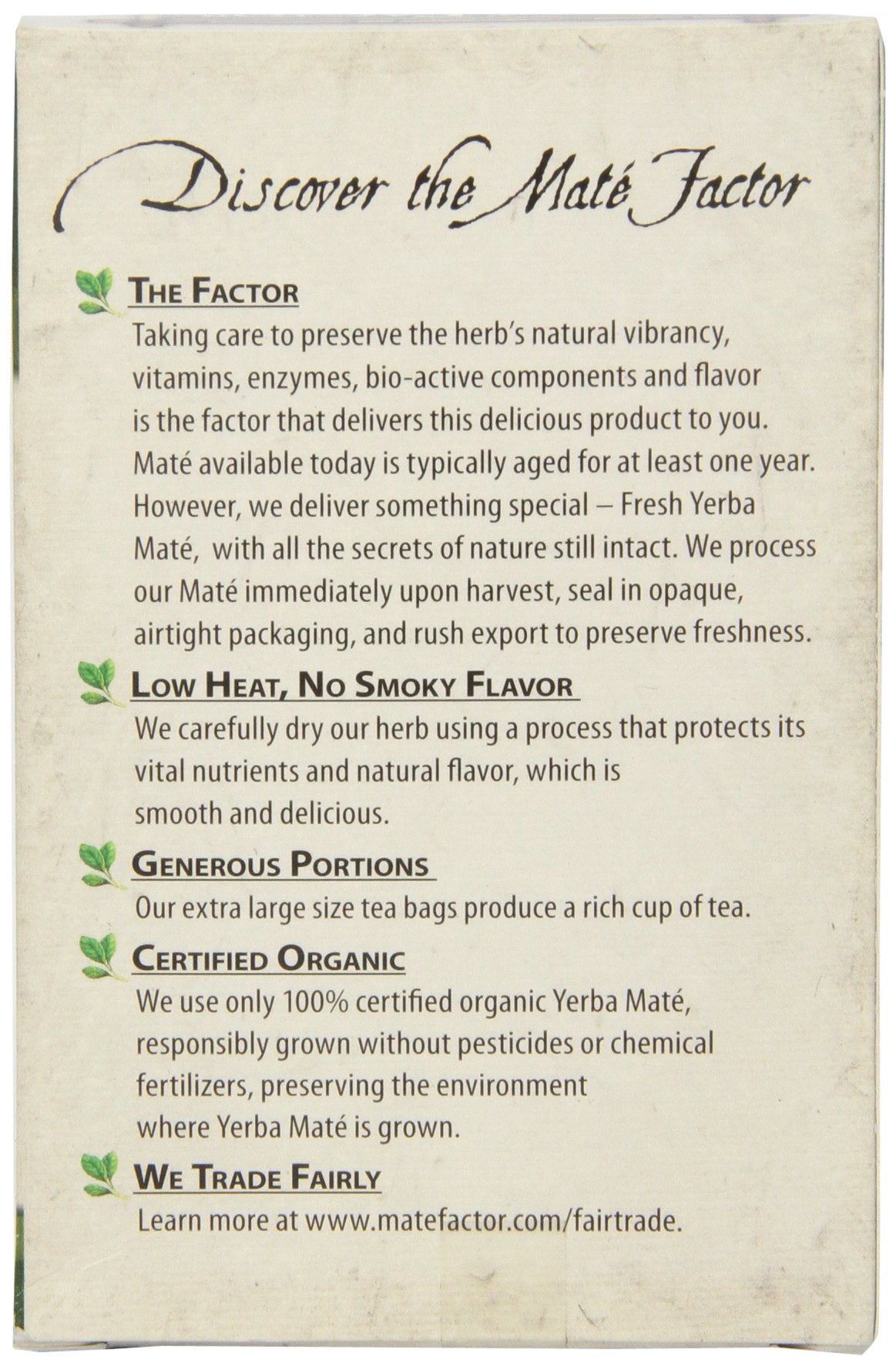 Mate Factor Tea Mate' - Green Ginsing, 20 Count
