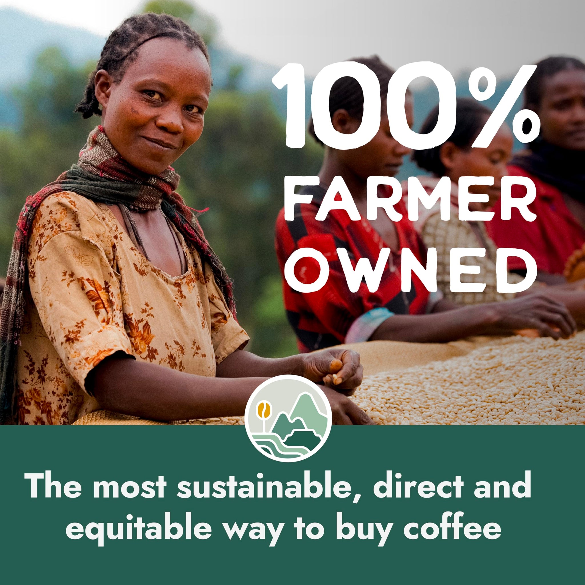 Pachamama Organic Coffee - Medium Roast Whole Bean Coffee Bundle - 2x10 oz bags - Peru + Guatemala - Farmer Owned & Regenerative
