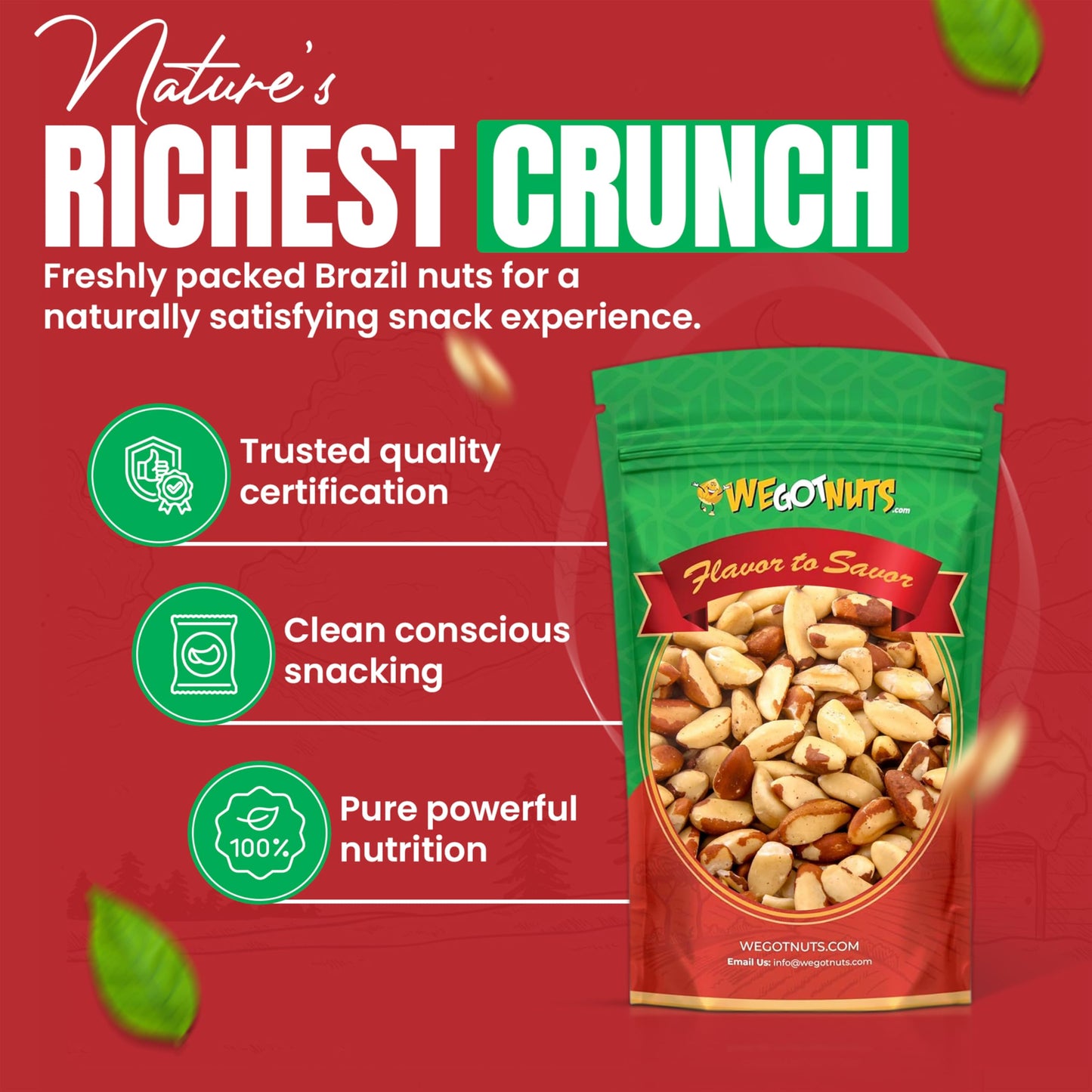 We Got Nuts Brazil Nuts - 3 Pounds,Whole, Shelled, Raw, Natural, No Preservatives Added, Non-GMO, NO PPO, 100% Natural