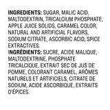 Alpine Spiced Cider Apple Flavor Drink Mix, 10 pouches (Pack of 1)