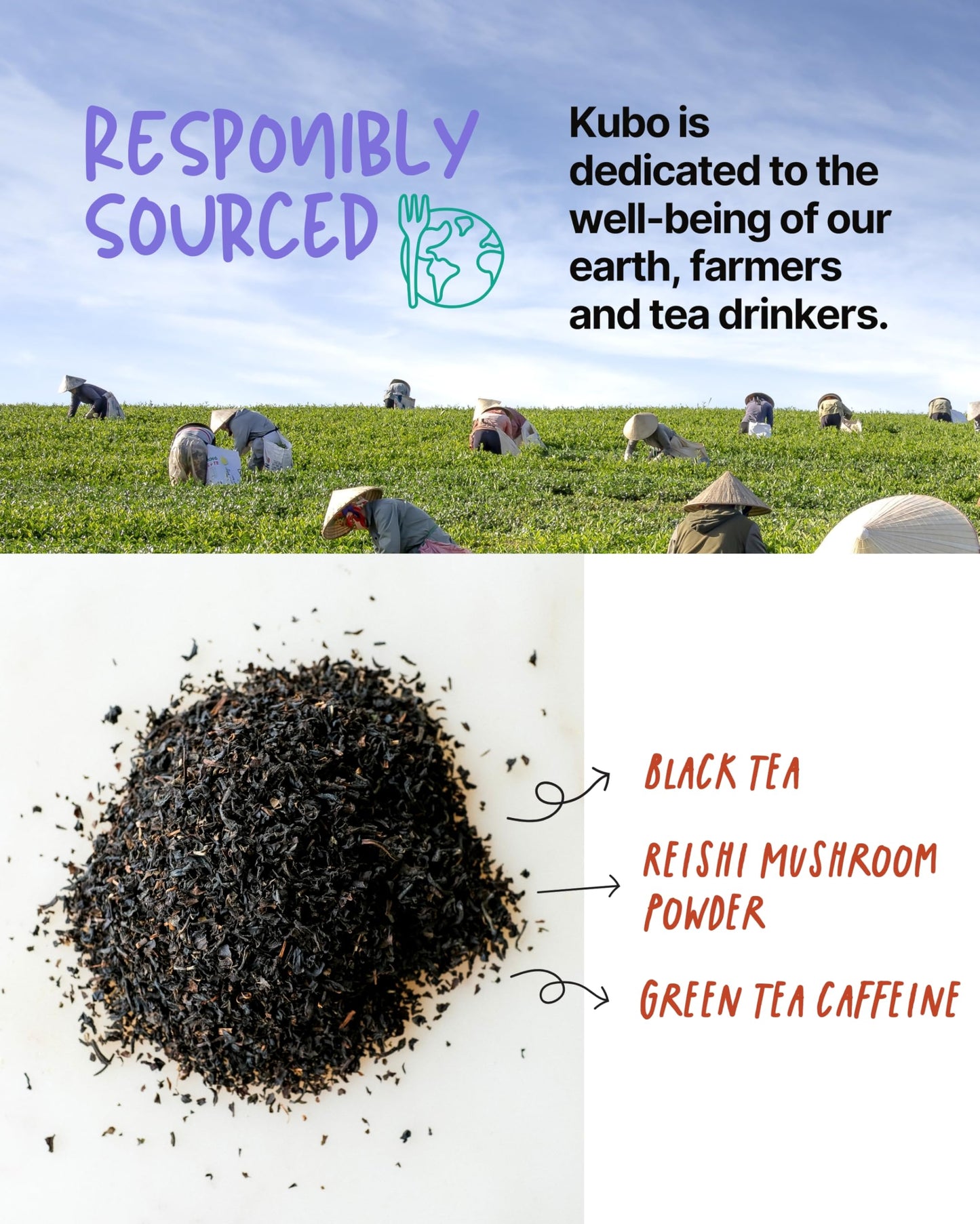 High Caffeine Mushroom Tea (155 mg) - Kubo Tea: Organic Reishi Breakfast Black Tea Bags for Clean Energy & Focus | Healthy Coffee Substitute |