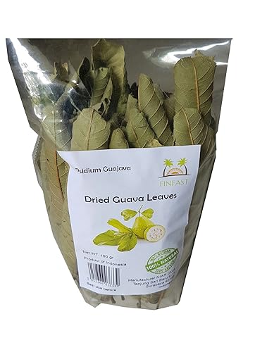 FINFAST Dried Guava Leaves (Psidium Guajava) (3 Oz, 100+ Leaves)