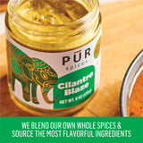 PUR Spices Cilantro Blaze I Hot Sauce & Tangy Cilantro Chutney I Fresh Cilantro, Garlic, Lime and Hot Peppers I Plant Based, Gluten Free, No Sugar