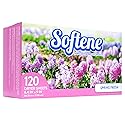 Spring Fresh Dryer Sheets 120ct