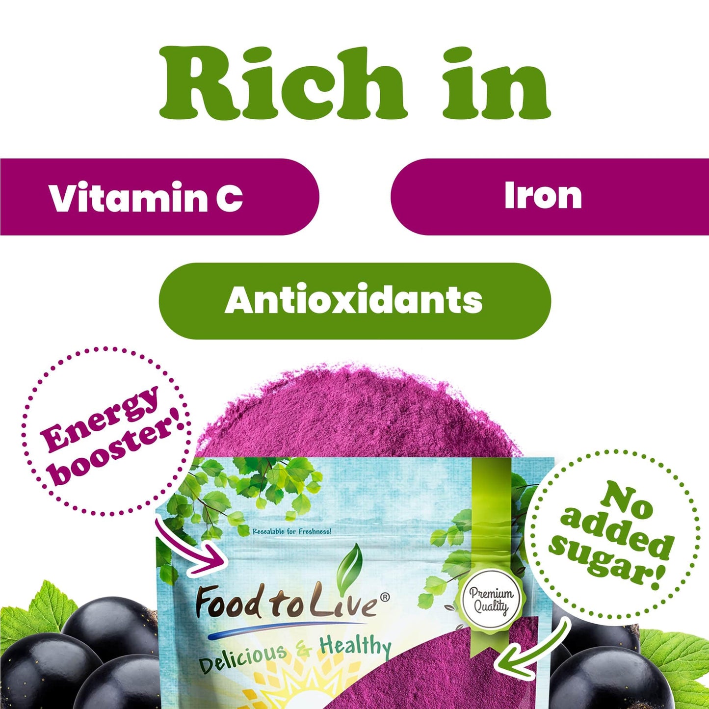 Food to Live - Currant Juice Powder, 4 Ounces - Antioxidant Powerhouse, Vegan Superfood. Unsweetened. Great for Juices. Contains Maltodextrin. Kosher