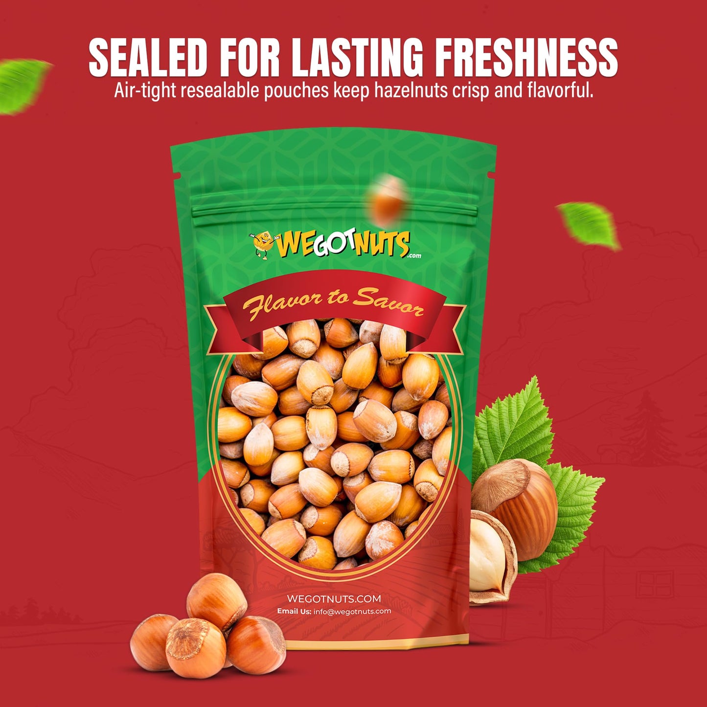 Hazelnuts (Filberts) In Shell, Raw - We Got Nuts (4LBS.)