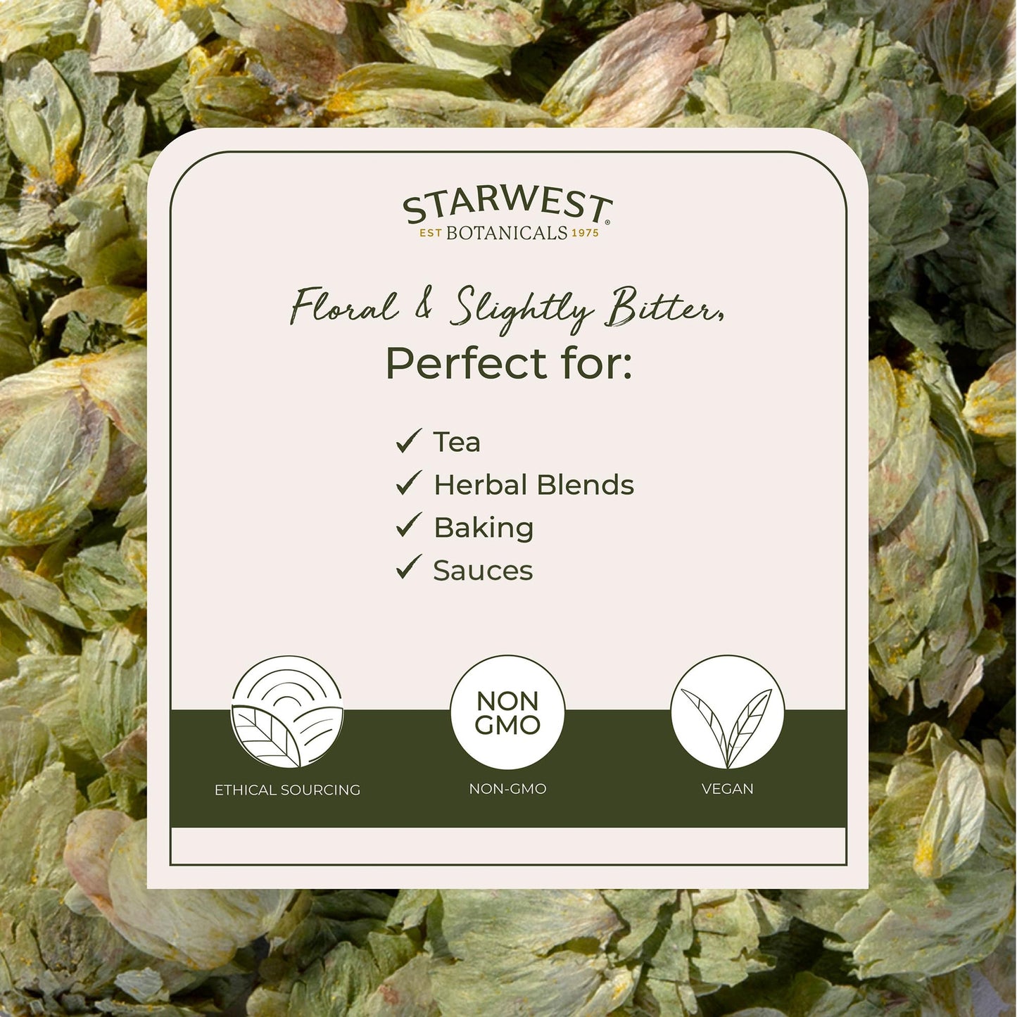 Starwest Botanicals Dried Hops Flowers Whole - Herb for Hot Water & Tea, Use in Herbal Blends, Natural Pine & Citrus Notes, Certified Kosher - 4 oz