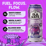 Yerba Mate Energy Drink - Low Sugar Sparkling Tea Cans with Ashwagandha, Lion’s Mane, USDA Organic Clean Energy Drink with 150mg Natural Caffeine, Ola