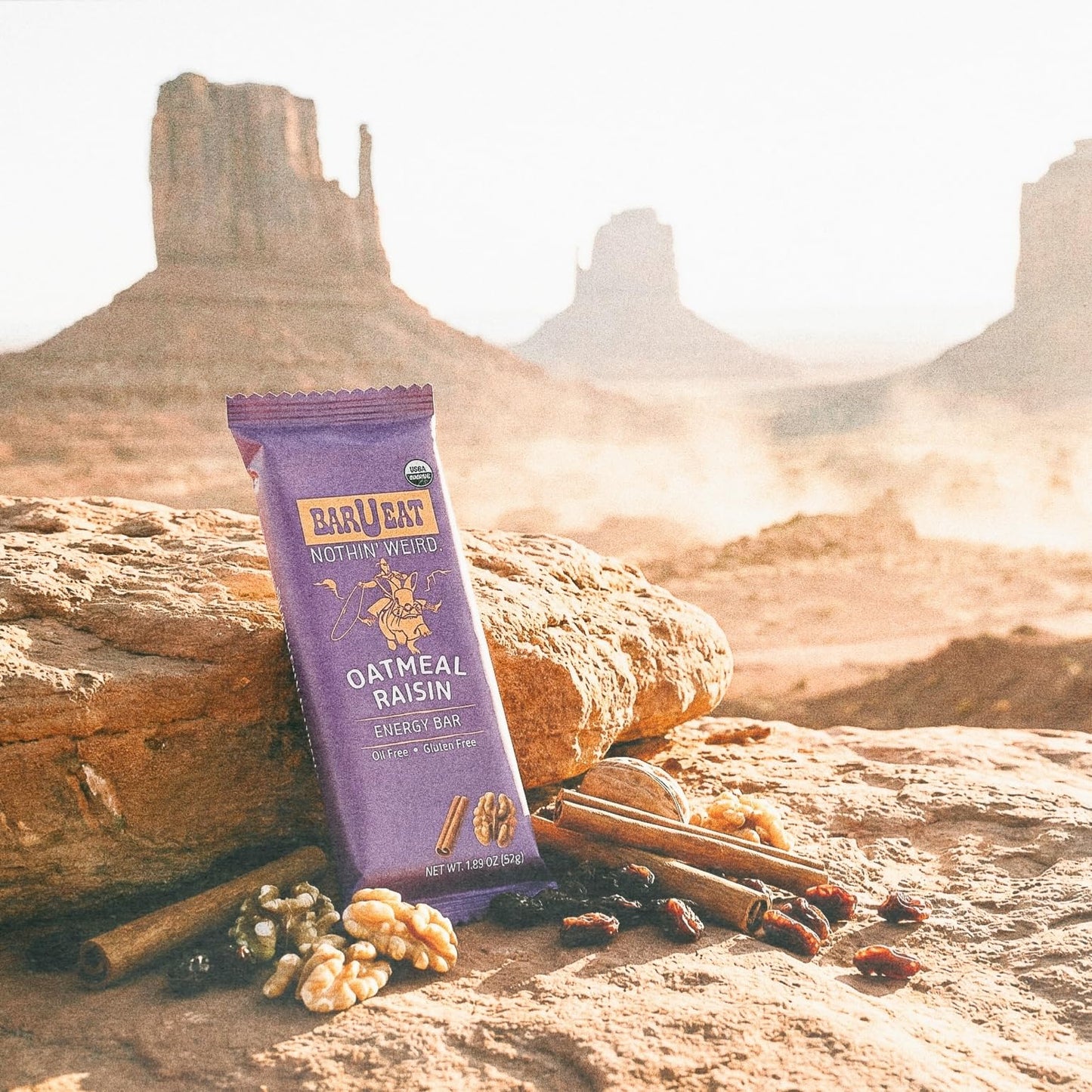 BAR U EAT Gluten-Free, High Fiber, Energy Bar. Real Food Ingredients | Oil Free | Organic | No Artificial Sugar | Healthy Snacks (Oatmeal Raisin 12