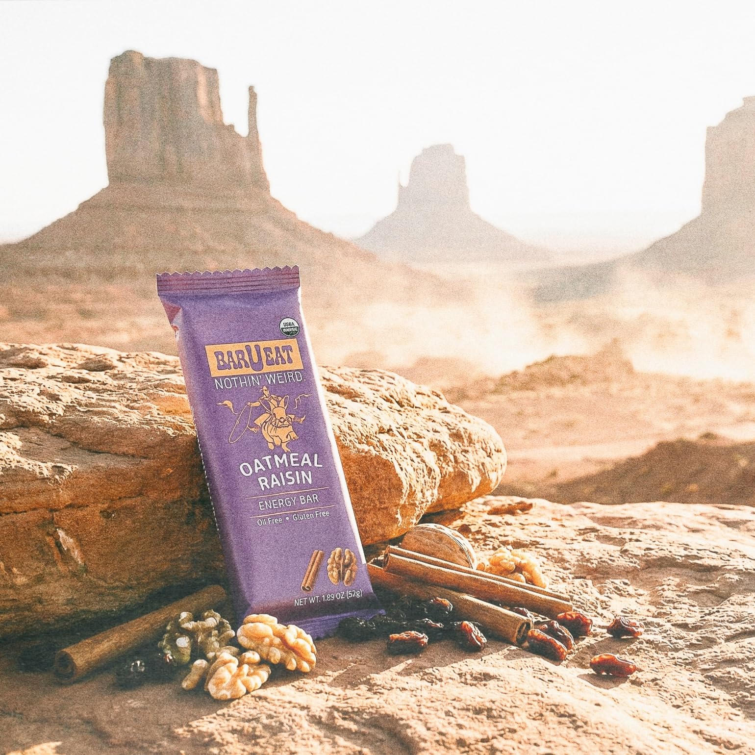 BAR U EAT Gluten-Free, High Fiber, Energy Bar. Real Food Ingredients | Oil Free | Organic | No Artificial Sugar | Healthy Snacks (Oatmeal Raisin 12