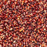 Amish Country Popcorn | 14 oz Bottle | Red Popcorn Kernels | Old Fashioned, Non-GMO and Gluten Free (14 oz Bottle)