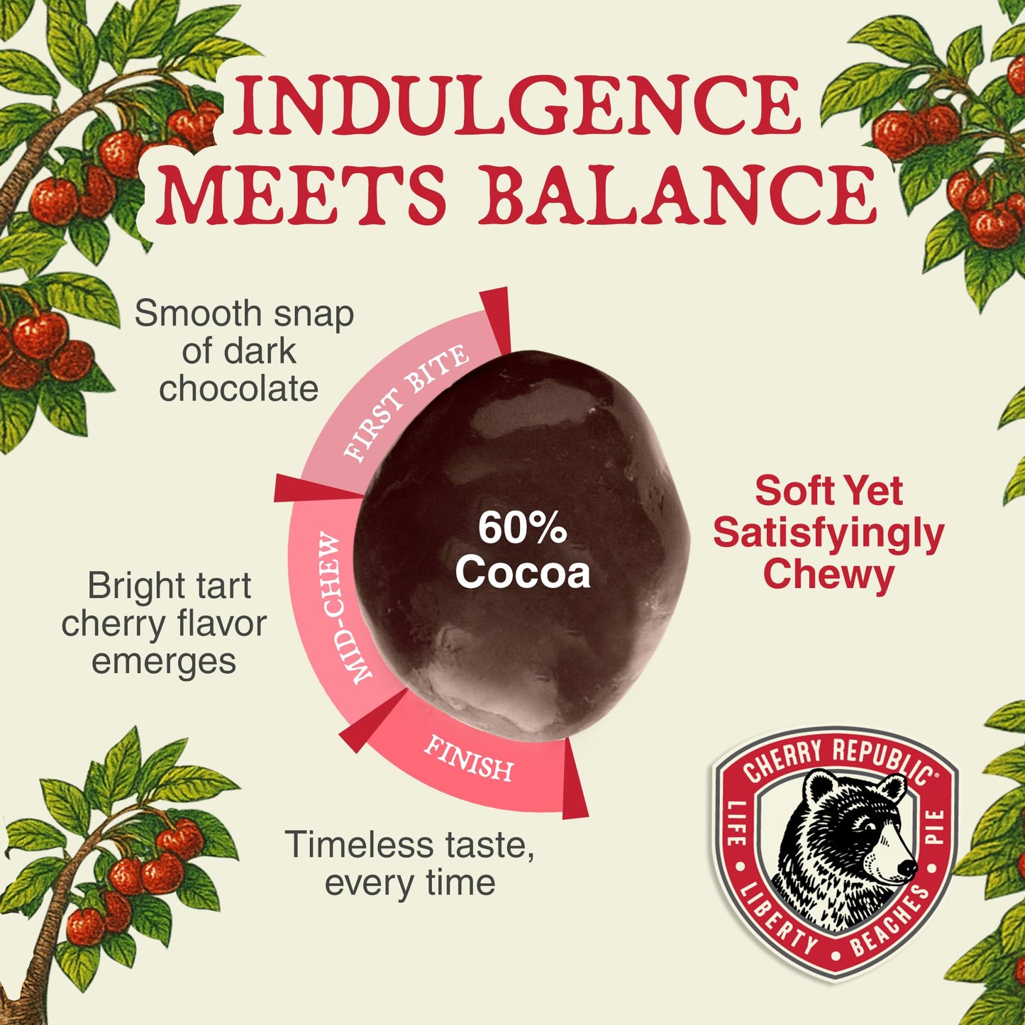 Cherry Republic Dark Chocolate Covered Cherries, 7 oz - Premium Michigan Montmorency Dried Cherries Coated in Rich 60% Dark Chocolate, Balanced Tart