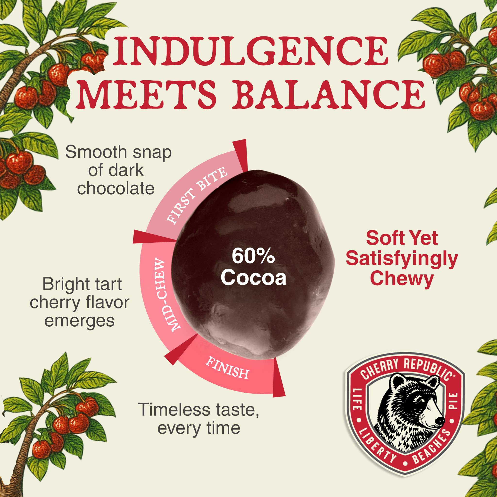 Cherry Republic Dark Chocolate Covered Cherries, 7 oz - Premium Michigan Montmorency Dried Cherries Coated in Rich 60% Dark Chocolate, Balanced Tart