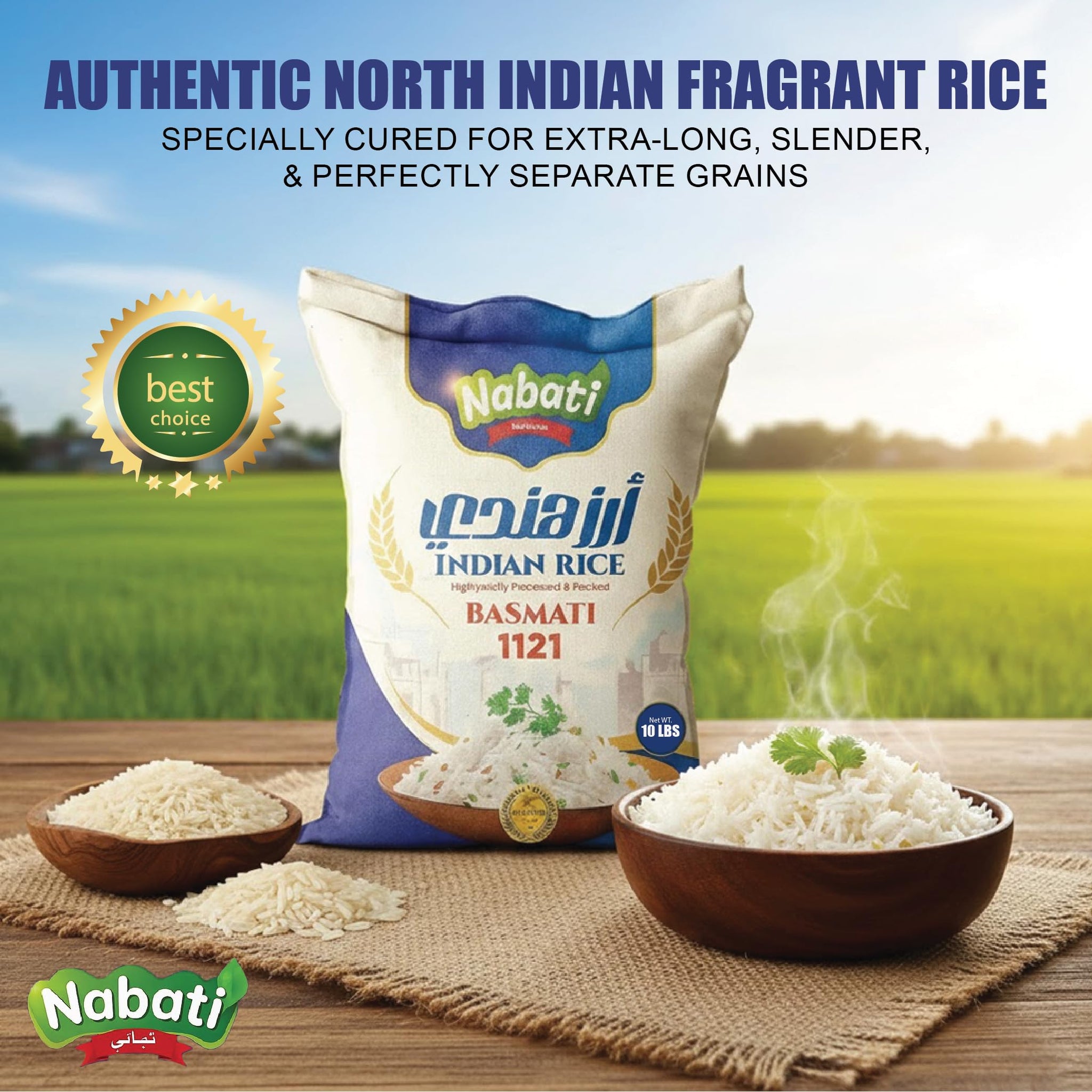 Nabati Pure Basmati 1121 Indian Rice, Premium Aromatic and Authentic Rice, Large Resealable Bag, 10 Pound Bag, White