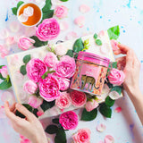 Rose Tea Bags -20 XL Pyramid Sachets- Rose Tea Organic. Tea Blends -Finest Moroccan Rose Petals and Ceylon OP Black Tea Leaves from Uva- Pantenger