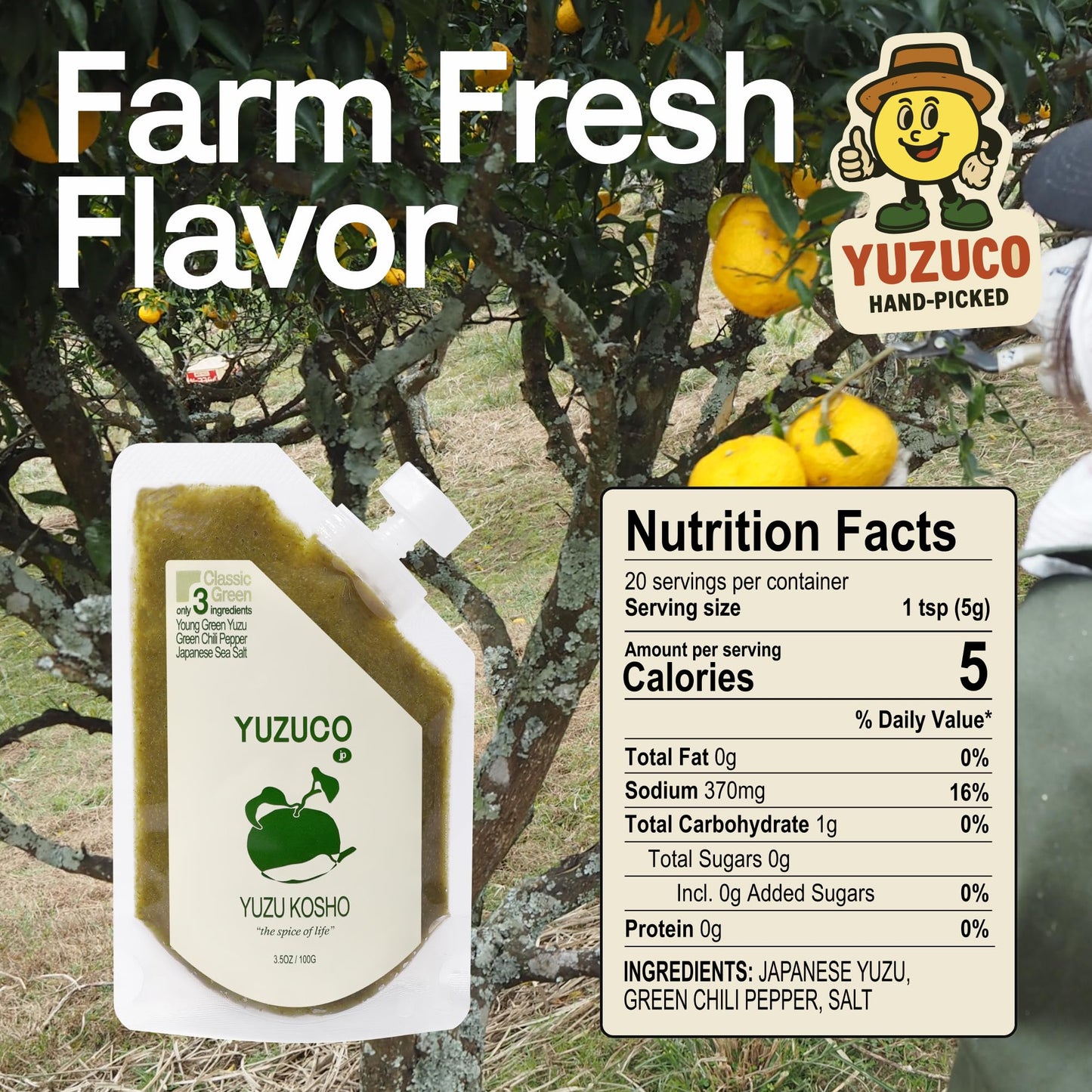 YUZUCO - Yuzu Kosho - 3.5oz (100g) - Loved by Chefs - Citrus, Salt and Spice - Classic Green - Made in Japan