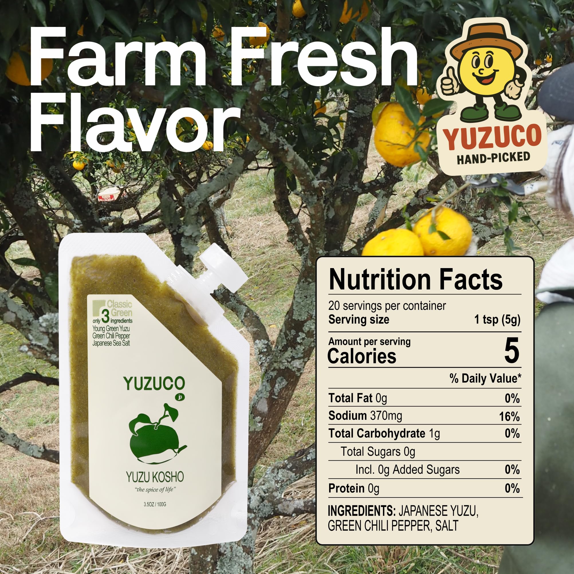 YUZUCO - Yuzu Kosho - 3.5oz (100g) - Loved by Chefs - Citrus, Salt and Spice - Classic Green - Made in Japan