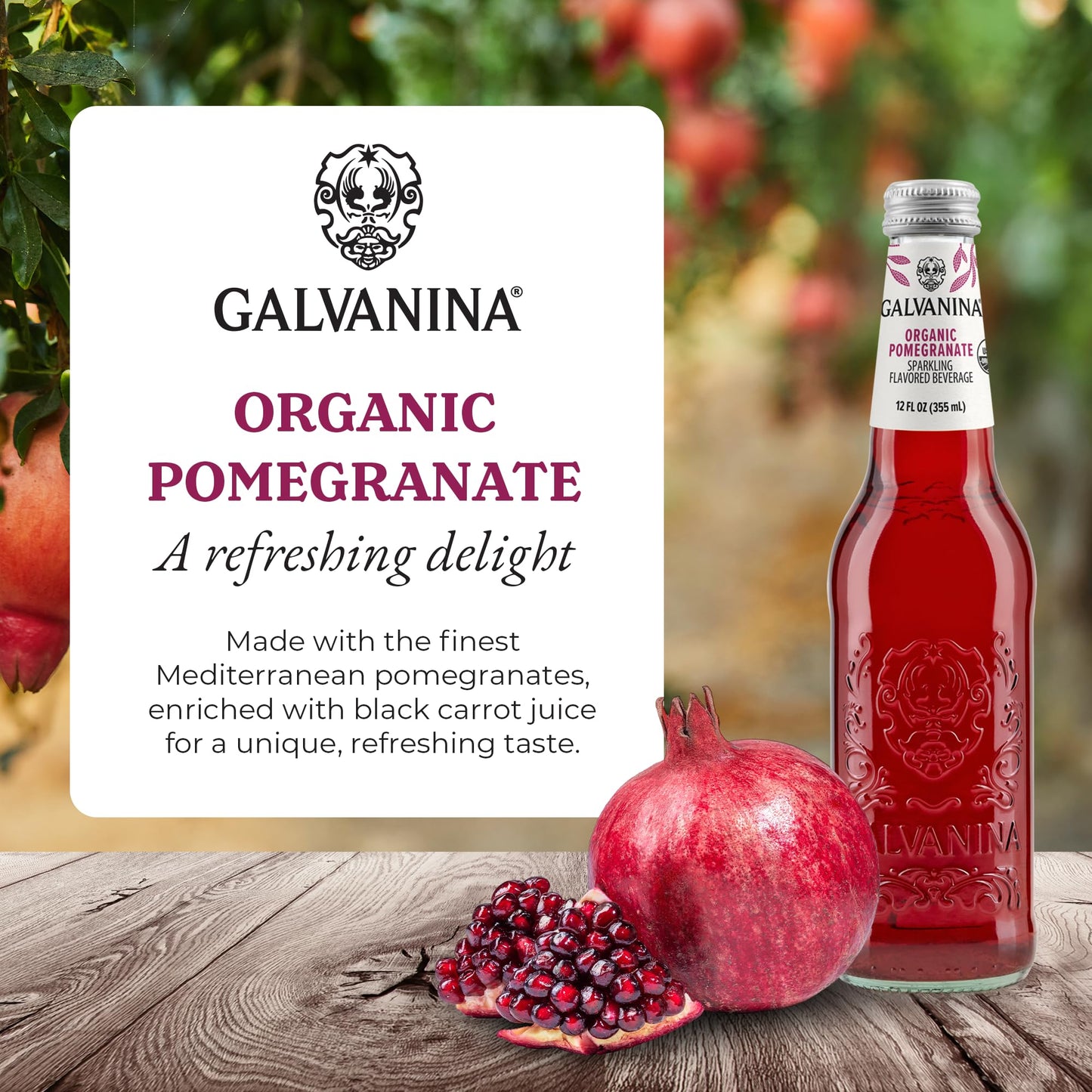 Galvanina Pomegranate - Premium Organic Italian Sparkling Soda, 12 fl oz (6 Glass Bottles) | Made with Organic Mediterranean Pomegranates, Naturally
