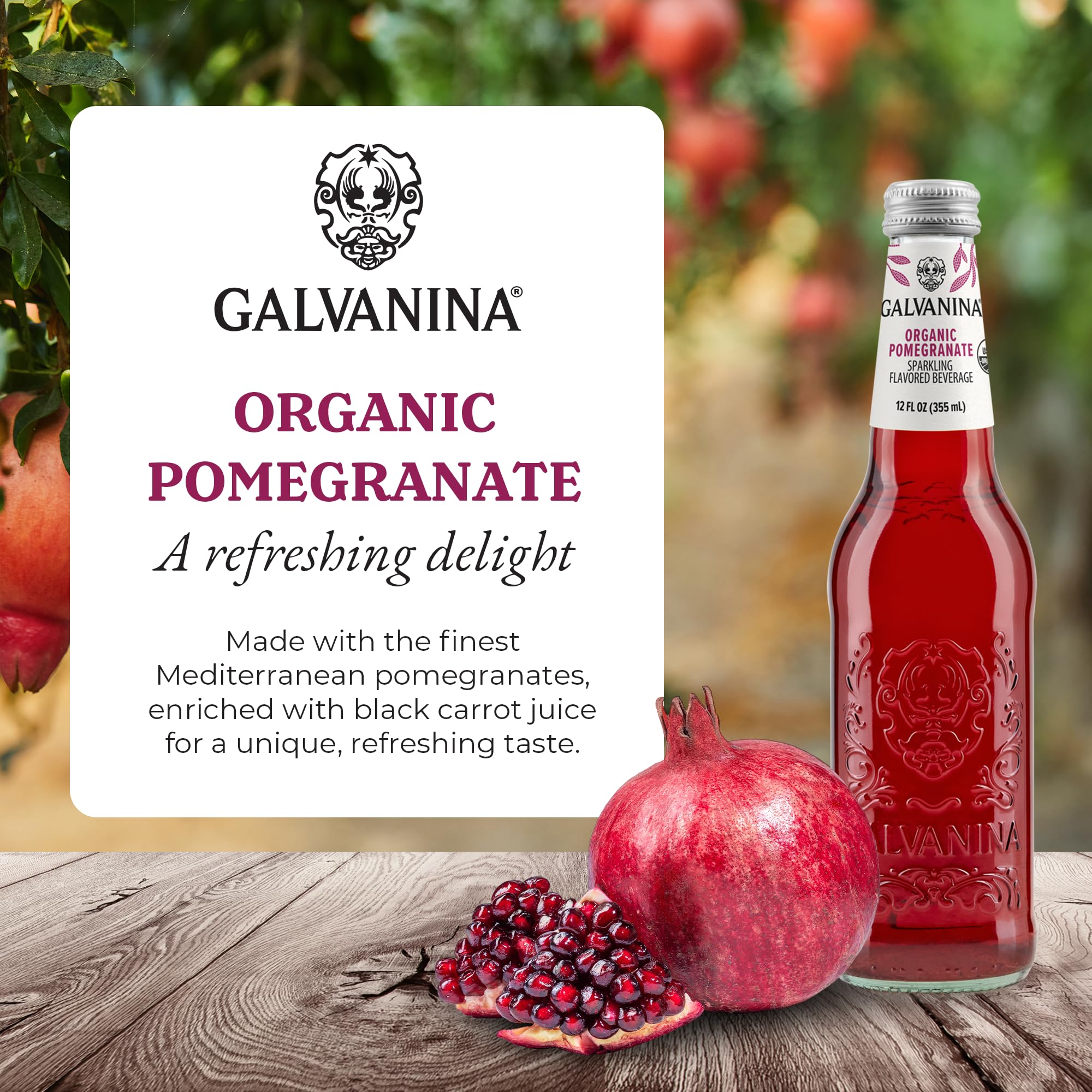 Galvanina Pomegranate - Premium Organic Italian Sparkling Soda, 12 fl oz (6 Glass Bottles) | Made with Organic Mediterranean Pomegranates, Naturally