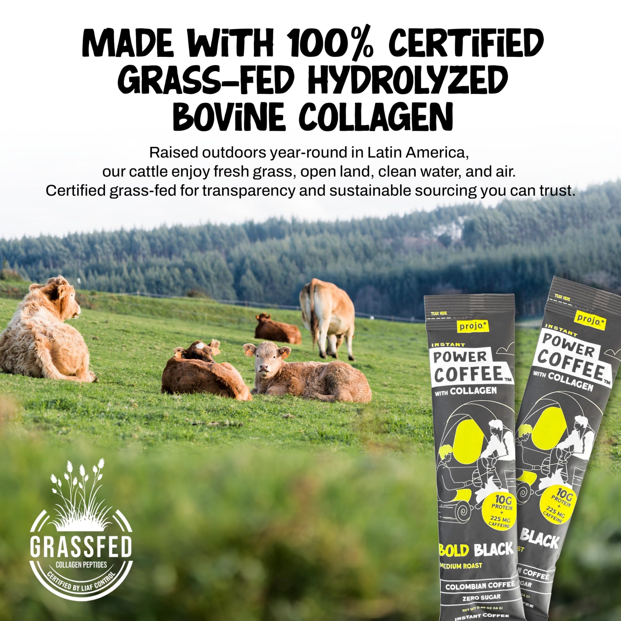 Projo* Power Coffee - Instant Coffee with 10g Protein - Grass-Fed Hydrolyzed Bovine Collagen & 225mg Caffeine - Organic, Unsweetened, Medium Roast