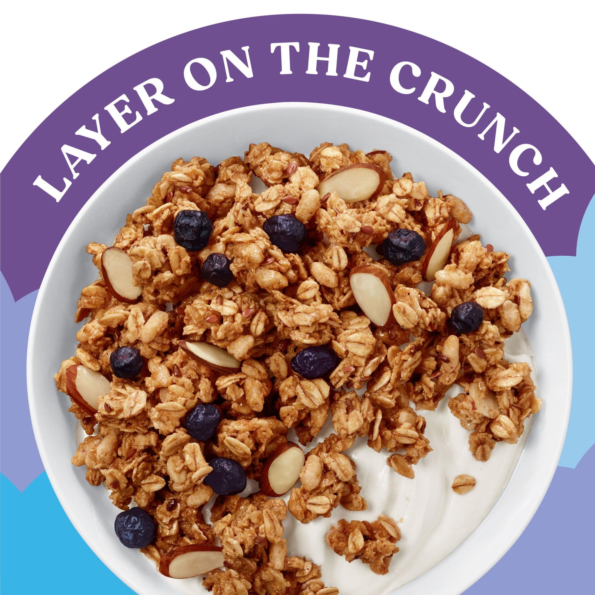 Kashi Gut Health Blueberry Almond Granola, Prebiotics and High Fiber, Whole Grain, 8 oz
