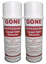 Supervacuums GONE Professional Carpet Stain Remover (2-Pack)