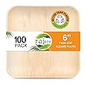 Raj Palm Leaf Plates [100-Pack] 6" Square Plates like Bamboo plates Disposable, Strong, Decorative Compostable Tableware for wedding, Lunch, Dinner