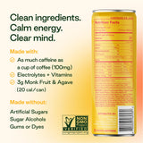 Plant Press - Organic Energy Drink, 100 mg Caffeine Clean Coffee Alternative, Full Range of Vitamins, Electrolytes, No Sugar Alcohols, No