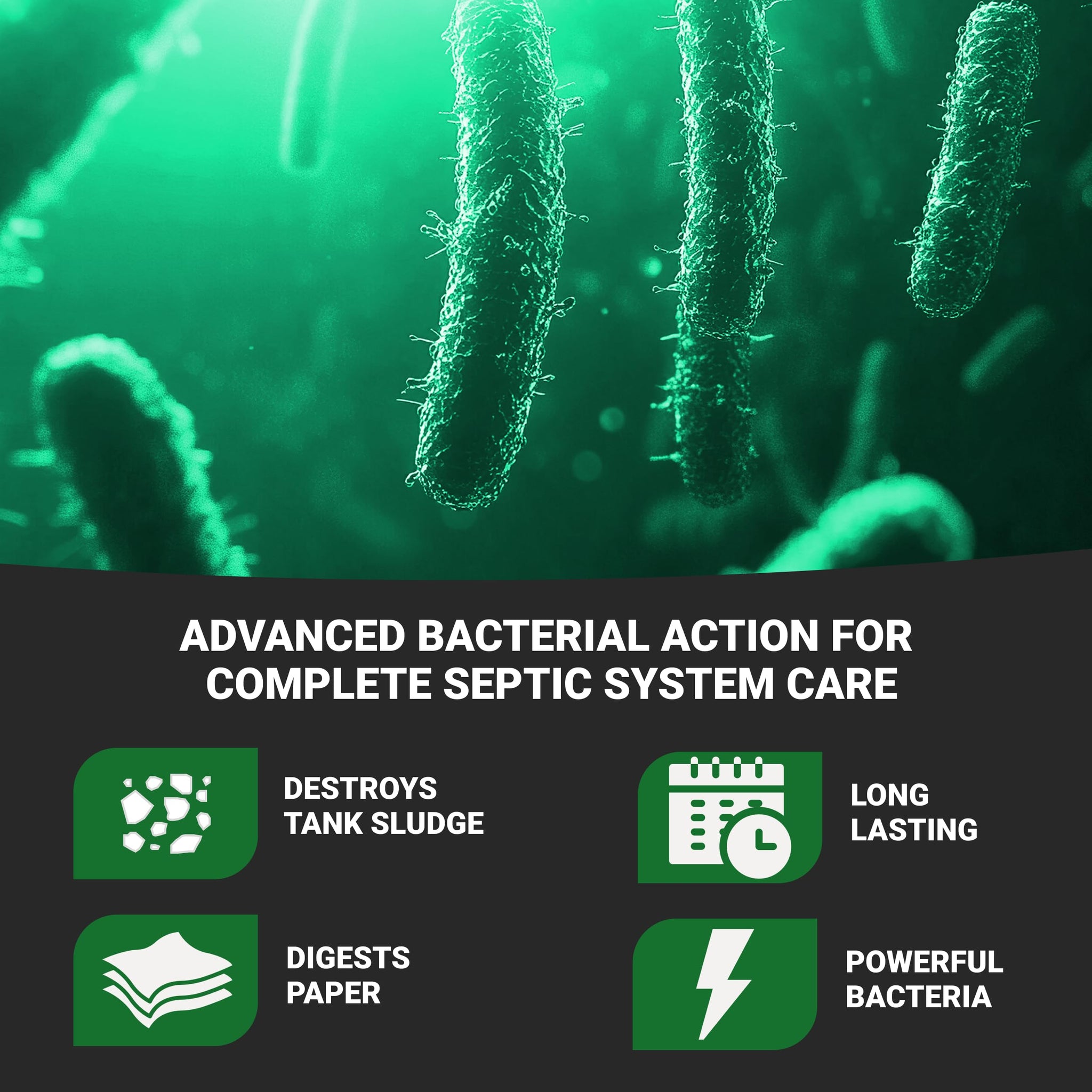 Roebic K-47-Q Cesspool Treatment: Prevents Clogging, Buildup, Exclusive Bacteria Digests Paper, Destroys Sludge - 32 Ounces, White/Green