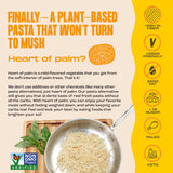 Food for the Sol Hearts of Palm Pasta (3-Pack) - Vegan, Al Dente Low Carb Spaghetti Noodles - Clean, Delicious Plant Based Vegetable Spaghetti