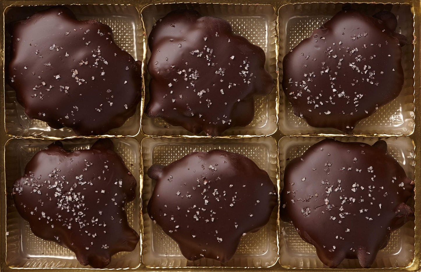 Dark Chocolate Salted Pecan Caramel Patties Gift Box Muddy Paws