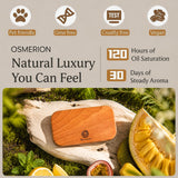 Car Air Freshener - Wood Air Freshener for Visor Clip - Long Lasting Car Odor Eliminator - Vehicle Scent Diffuser - (Coconut - Tropical Garden - Stone