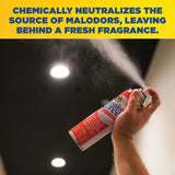 Zep Smoke Screen Odor Eliminator Aerosol - 16 Oz (Pack of 1) 18701 - Neutralizes Smoke and Organic Odors, Long-Lasting Fresh Fragrance, Professional