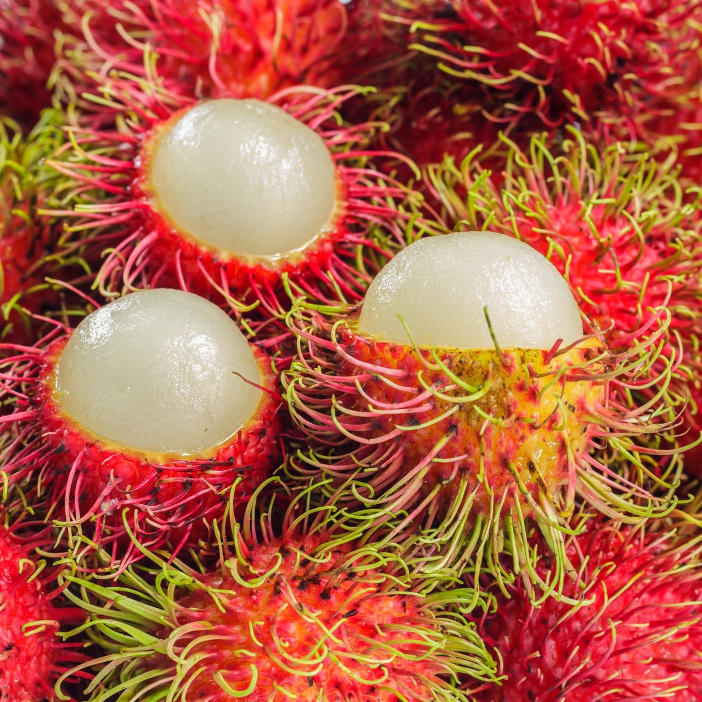 Fruits in Syrup (Rambutan with Pineapple) - 20oz (Pack of 6)