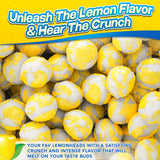 Freeze Dried Lemon Heads (10oz) - Made From Lemonheads Candy By Cryo Crunch- Freeze Dried Lemonheads Made In US Freeze Dried Lemon Candy