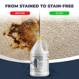 CarpetGeneral Rust Remover 5815 - Heavy Duty Rust & Stain Remover for Household Cleaning, Expertly Treats and Cares for Furniture, Kitchen Surfaces