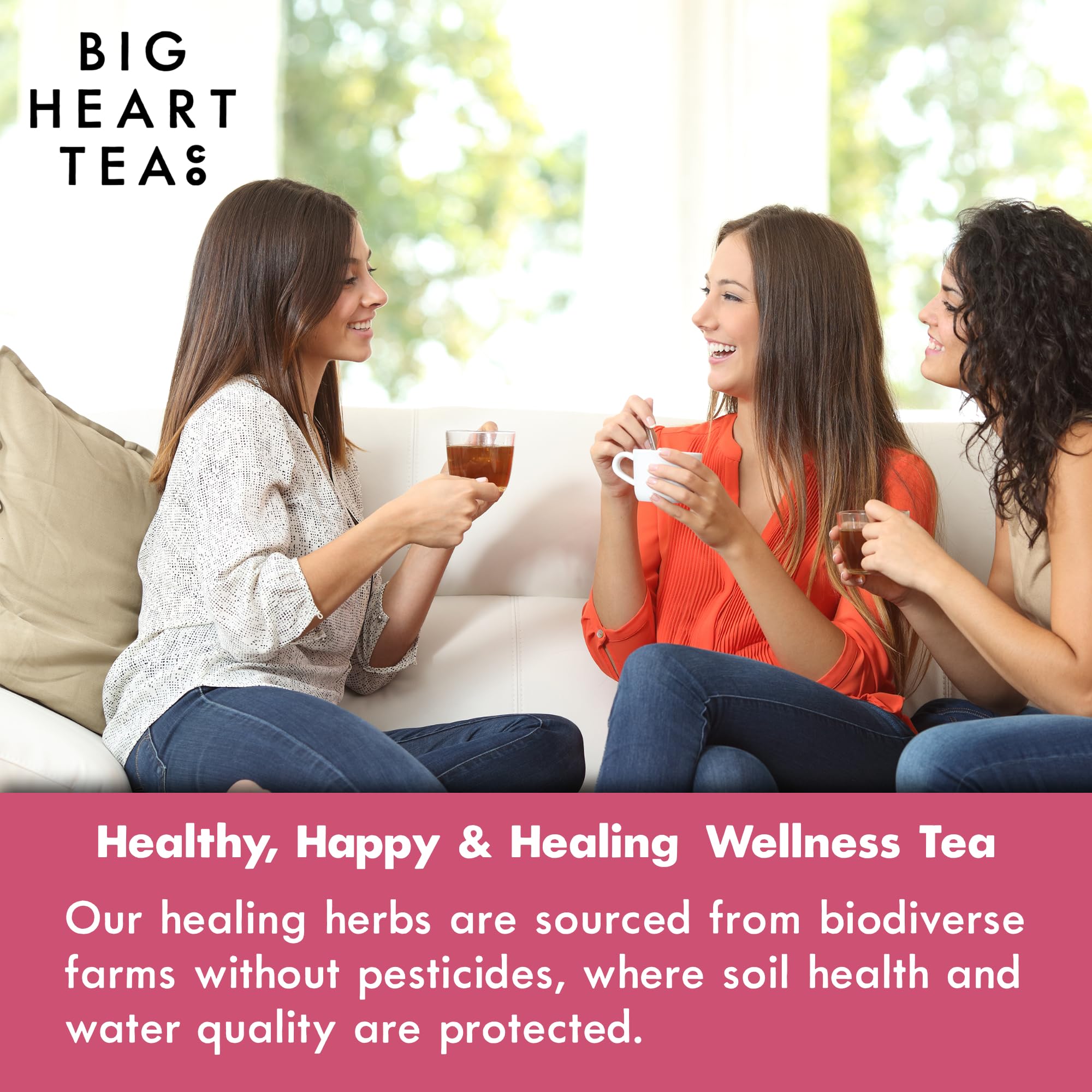Big Heart Tea Co. Tea Bags - Blushing Pink Hibiscus - Certified Organic, Naturally Sweet Ayurvedic Herbal Decaf Tea with Small Batch Ground Herbs