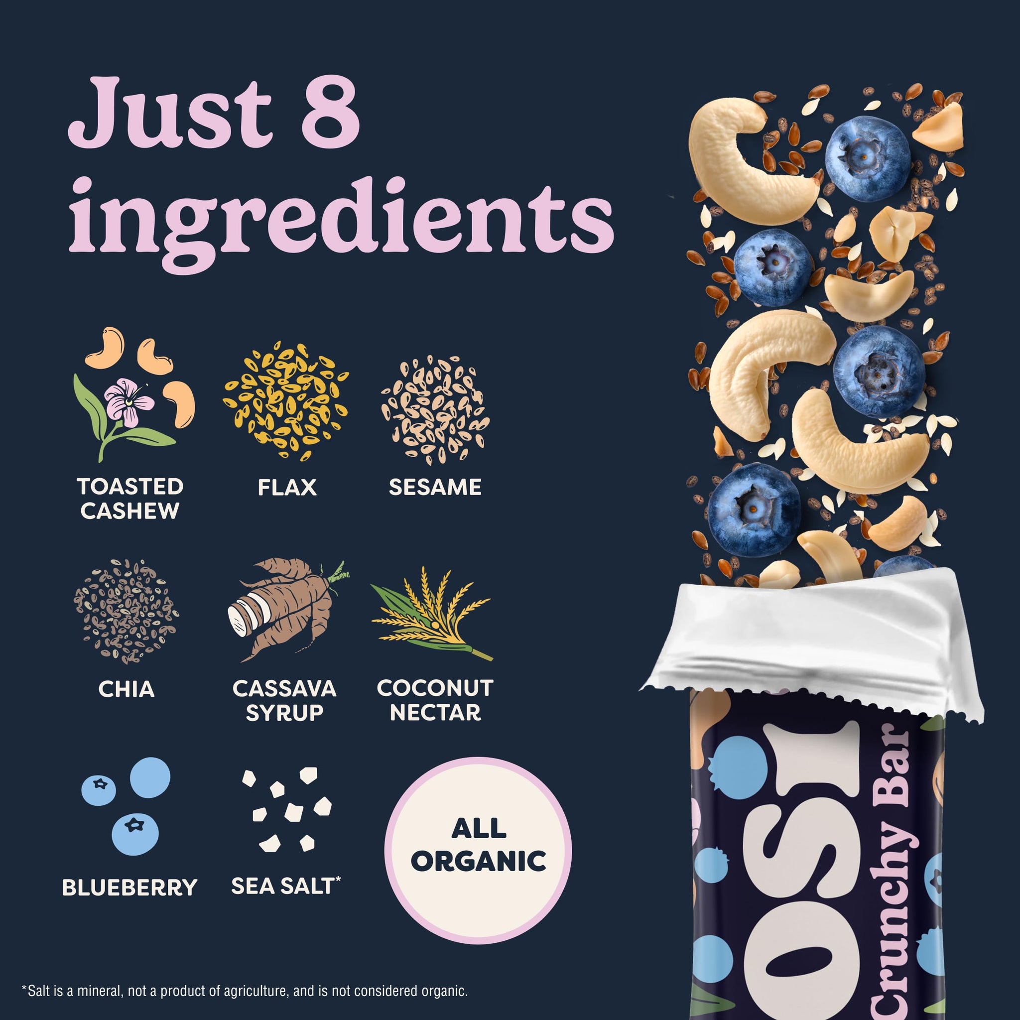 Tosi Nut Bars, Cashew Blueberry, Healthy Snacks for Adults & Kids, Plant Based Crunchy Bars (6G Protein), Organic Keto Snacks, Vegan, Gluten & Soy