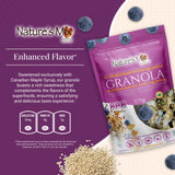 Nature's Mix - Super Food Granola with Quinoa and Blueberries - Nut-Free, Vegan and Kosher - Nutrient-Rich Superfoods - Large