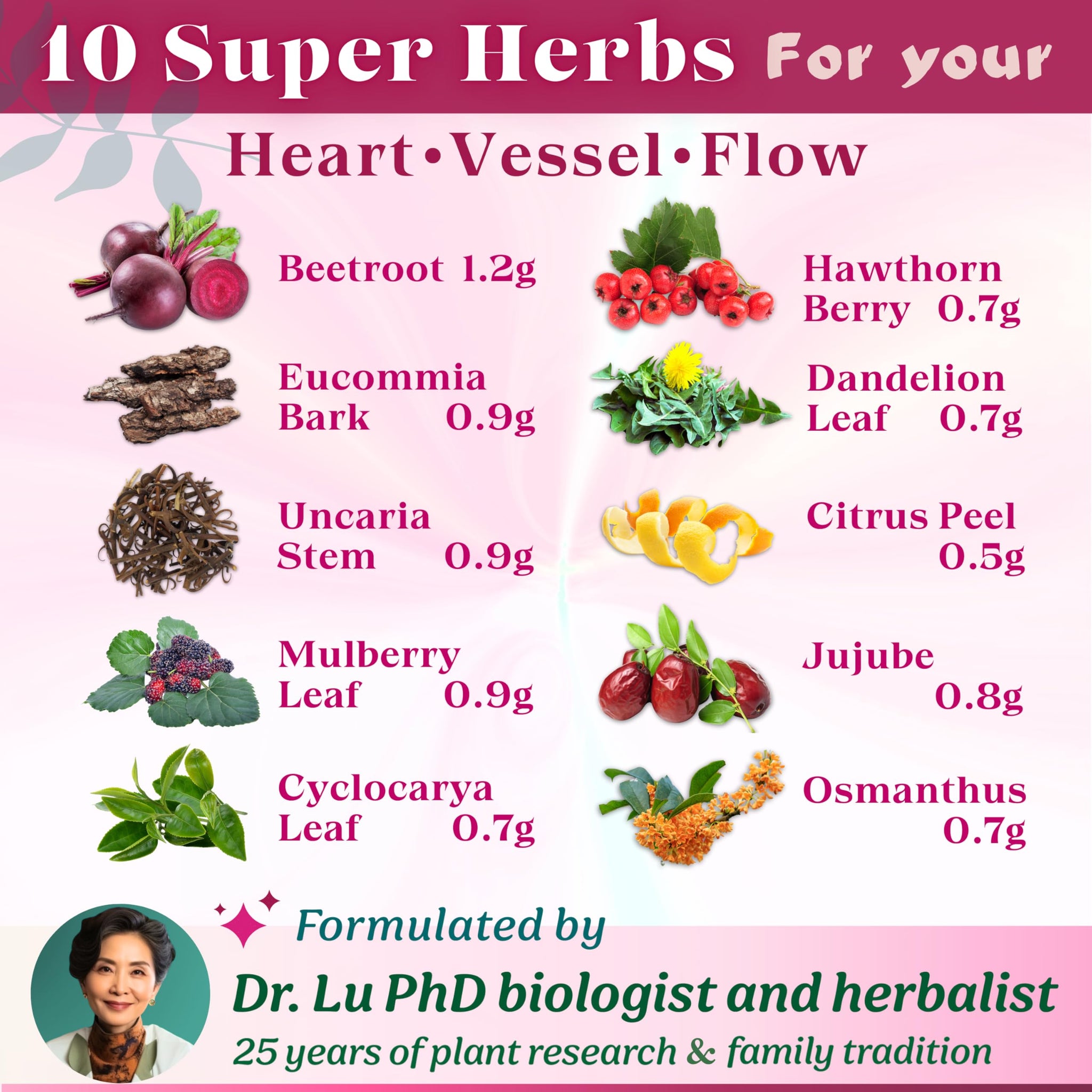 Dr. Lu’s Happy Blood Pressure Tea | 100% Natural Heart Functional Tea for Blood Pressure Support | Beetroot, Hawthorn Berry, Mulberry Leaf, Dandelion