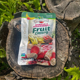 Brothers All Natural Freeze Dried Fruit Crisps, Banana Strawberry, 0.42 Oz (Pack of 24), Made with 100% Fruit, Gluten Free, Soy Free, Vegan, Healthy