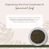 Starwest Botanicals Spearmint Leaves - Loose Leaf Herb for Tea, Dried Spearmint Leaf for Herbal Blends, Cut & Sifted, Certified Kosher - Bulk 1 lb Bag