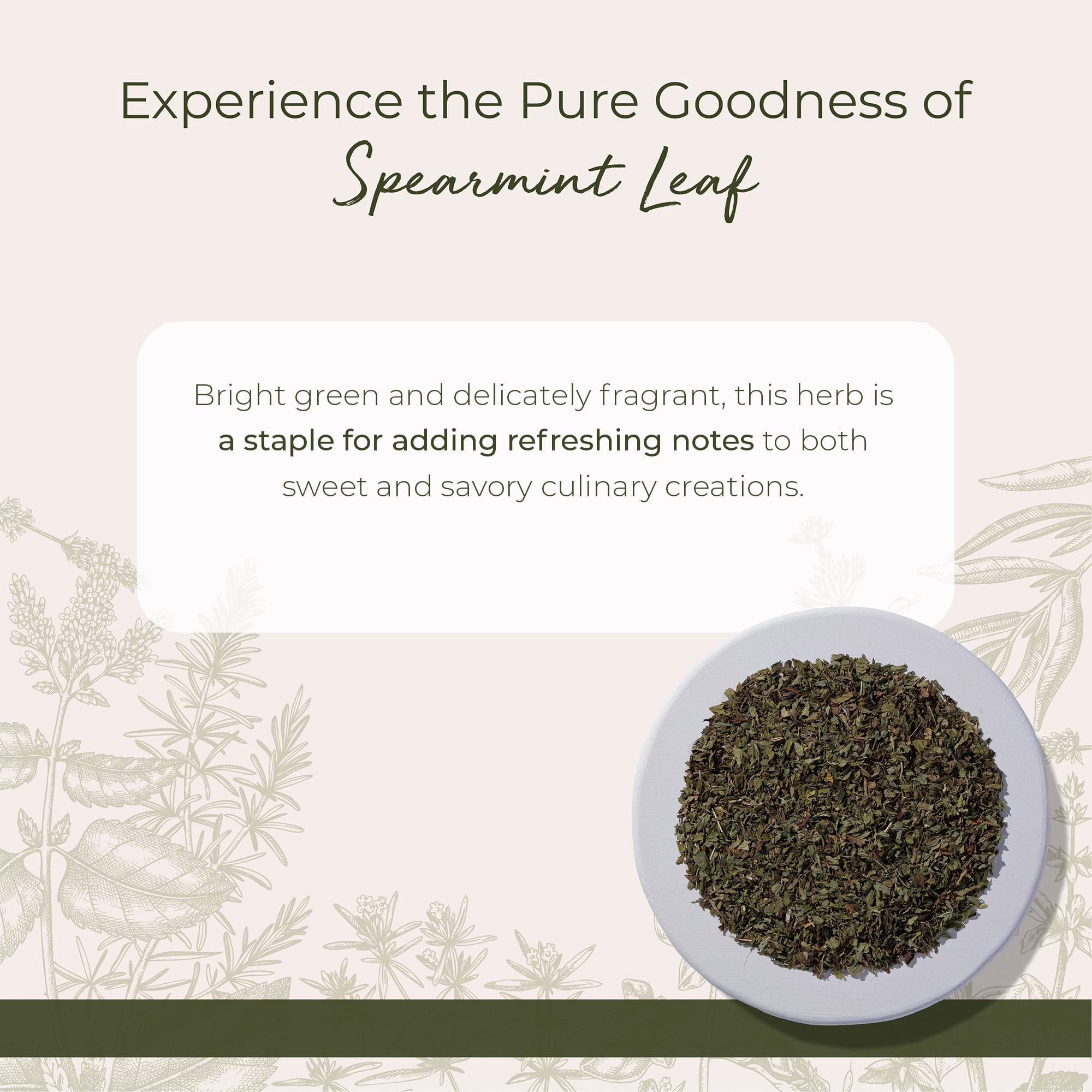 Starwest Botanicals Spearmint Leaves - Loose Leaf Herb for Tea, Dried Spearmint Leaf for Herbal Blends, Cut & Sifted, Certified Kosher - Bulk 1 lb Bag