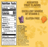 Disney Stitch Fruit Flavored Snacks, Fat Free and Gluten Free Snacks, 8 oz (10 Pouches)