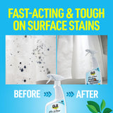 CLR Brands® Mold & Mildew Bleach-Free Free & Clear Stain Remover, No Dyes or Fragrances, 26 Oz Bottle (Pack of 1)