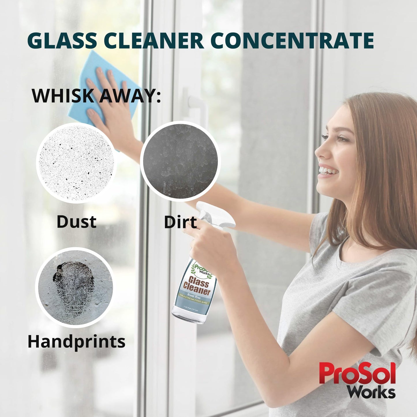 ProSol Works Glass Cleaner 16 oz - All Purpose Cleaning Spray for Glass Doors & Windows, Mirrors & Chrome Surfaces - Glasses Spray Helps Remove