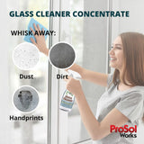 ProSol Works Glass Cleaner 16 oz - All Purpose Cleaning Spray for Glass Doors & Windows, Mirrors & Chrome Surfaces - Glasses Spray Helps Remove